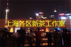 方舟之都：领略上海高科技的独特魅力